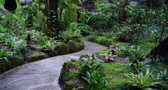 深圳拍婚纱照，浪漫之约