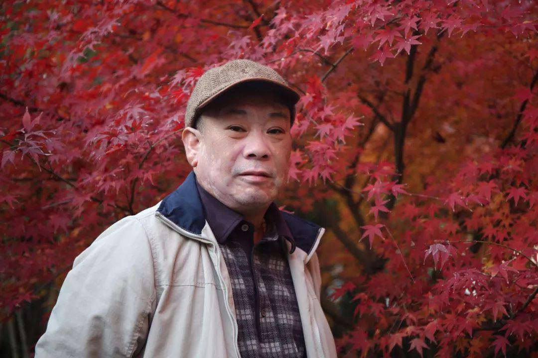 探索中国美术的殿堂，中国美术家官方网站首页深度解析