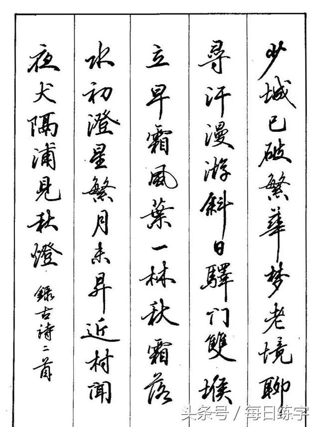 书写艺术 第14页
