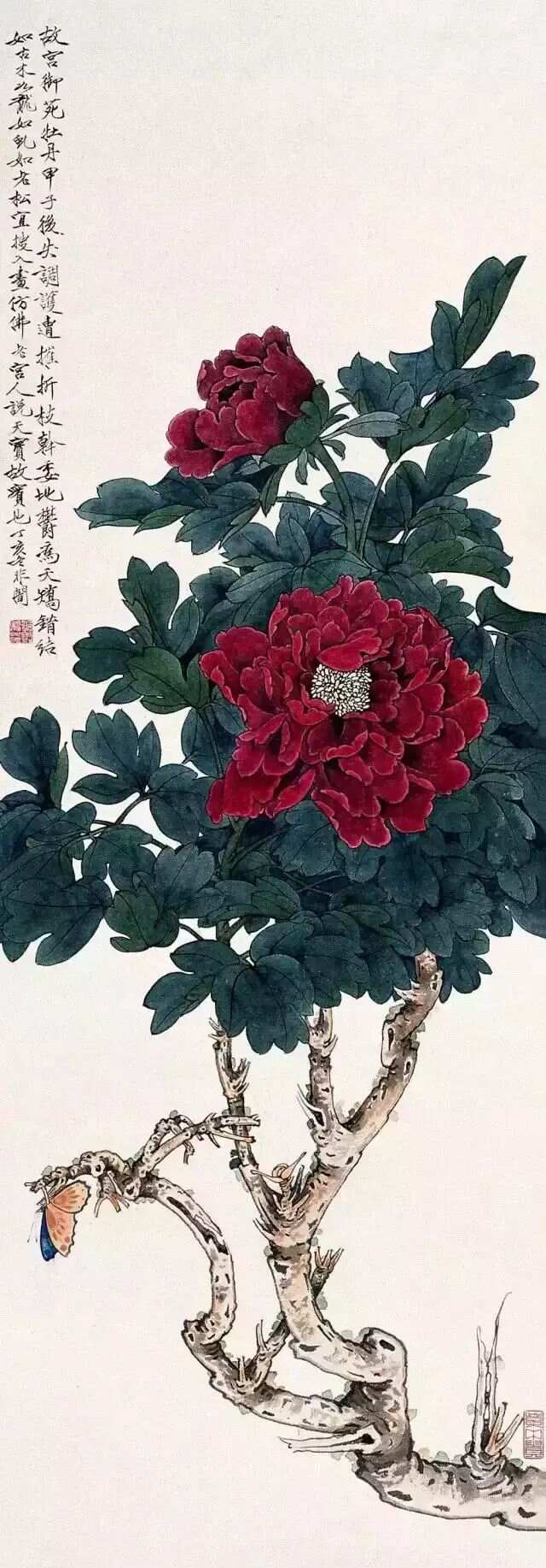 牡丹国色天香，国画牡丹花图片大全大图赏析