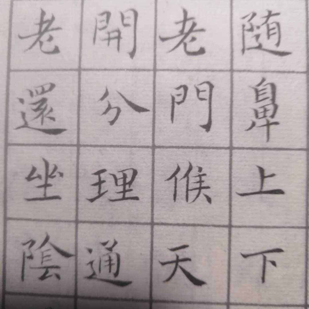 硬笔行书书法作品的艺术魅力与欣赏指南