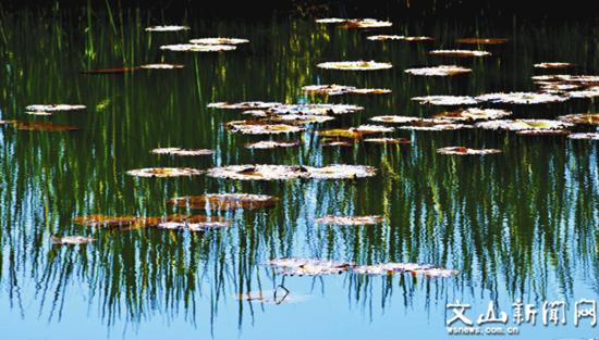 风景油画，简单之美，点亮生活