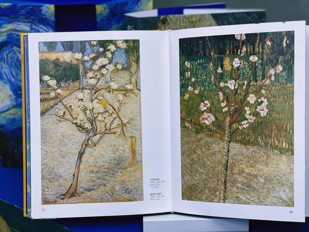 梵高作品集画册，艺术与灵魂的对话