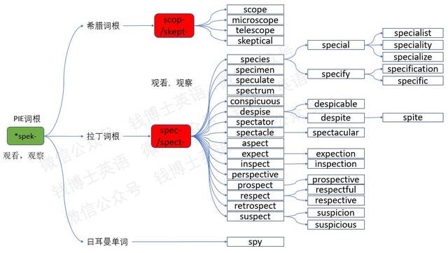 词根记忆法，解锁语言学习的金钥匙