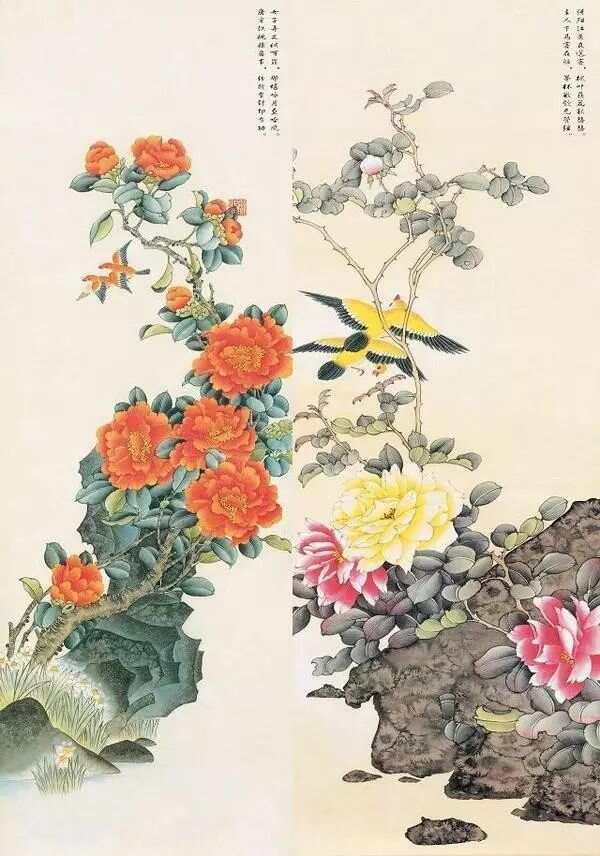 工笔画花鸟，一卷细腻的色彩诗篇——探索工笔画花鸟图片大全的魅力