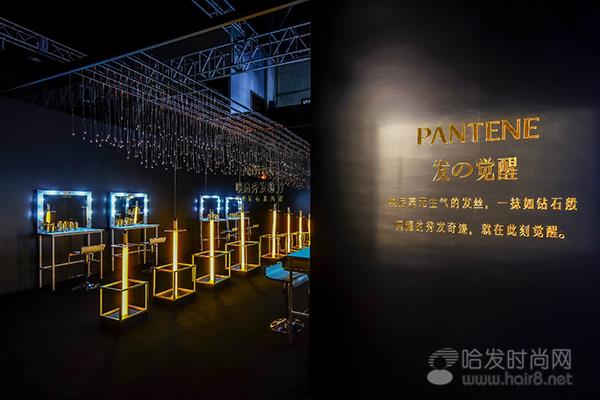 雅昌艺术网，探索艺术世界的登录入口