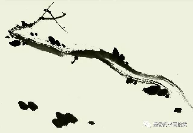 国画花鸟画入门教程视频，解锁传统艺术之美