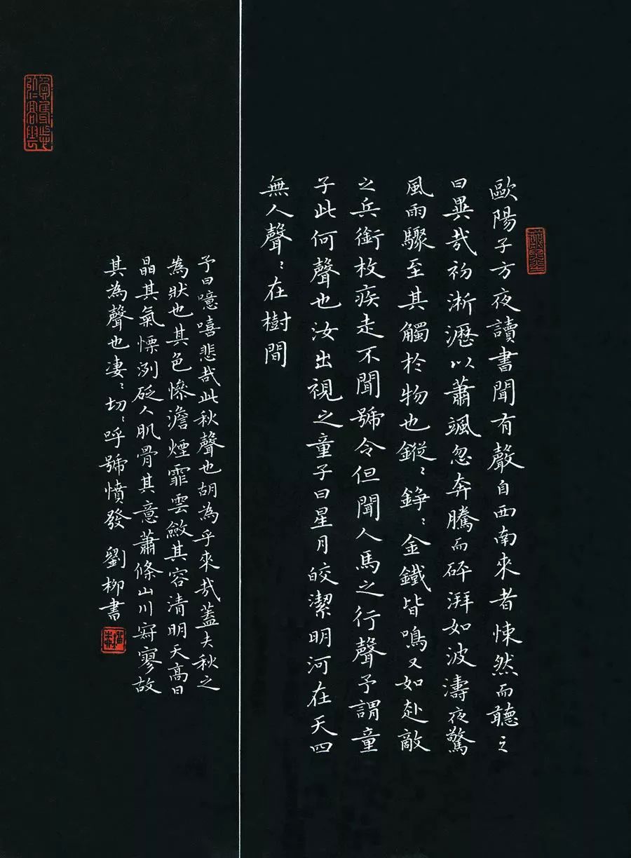 硬笔书法欣赏，笔尖下的艺术大图