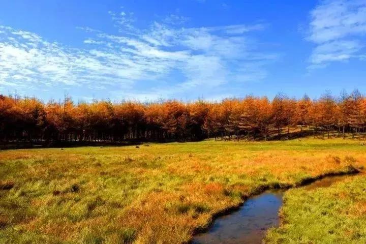 探索世界著名油画100幅，艺术史上的璀璨明珠