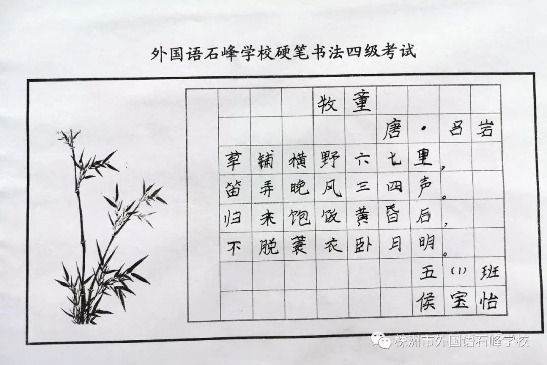 硬笔书法考级官网，传承与创新的书法艺术殿堂