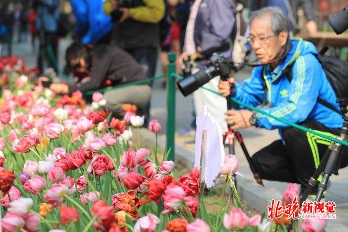 100幅名画中的传奇人物，艺术史上的璀璨星辰