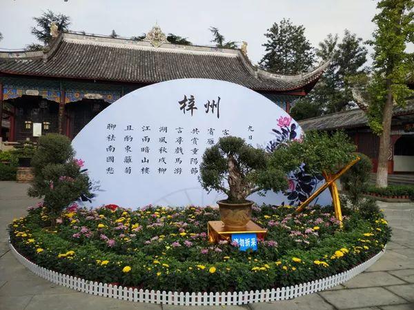 探索中国书画艺术的数字殿堂，中国书画网官网在线投稿指南