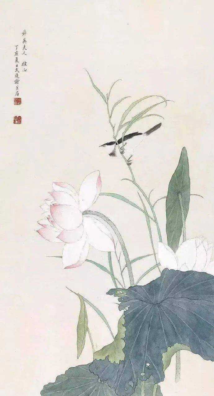 荷花仙姿，中国画荷花图片大全赏析