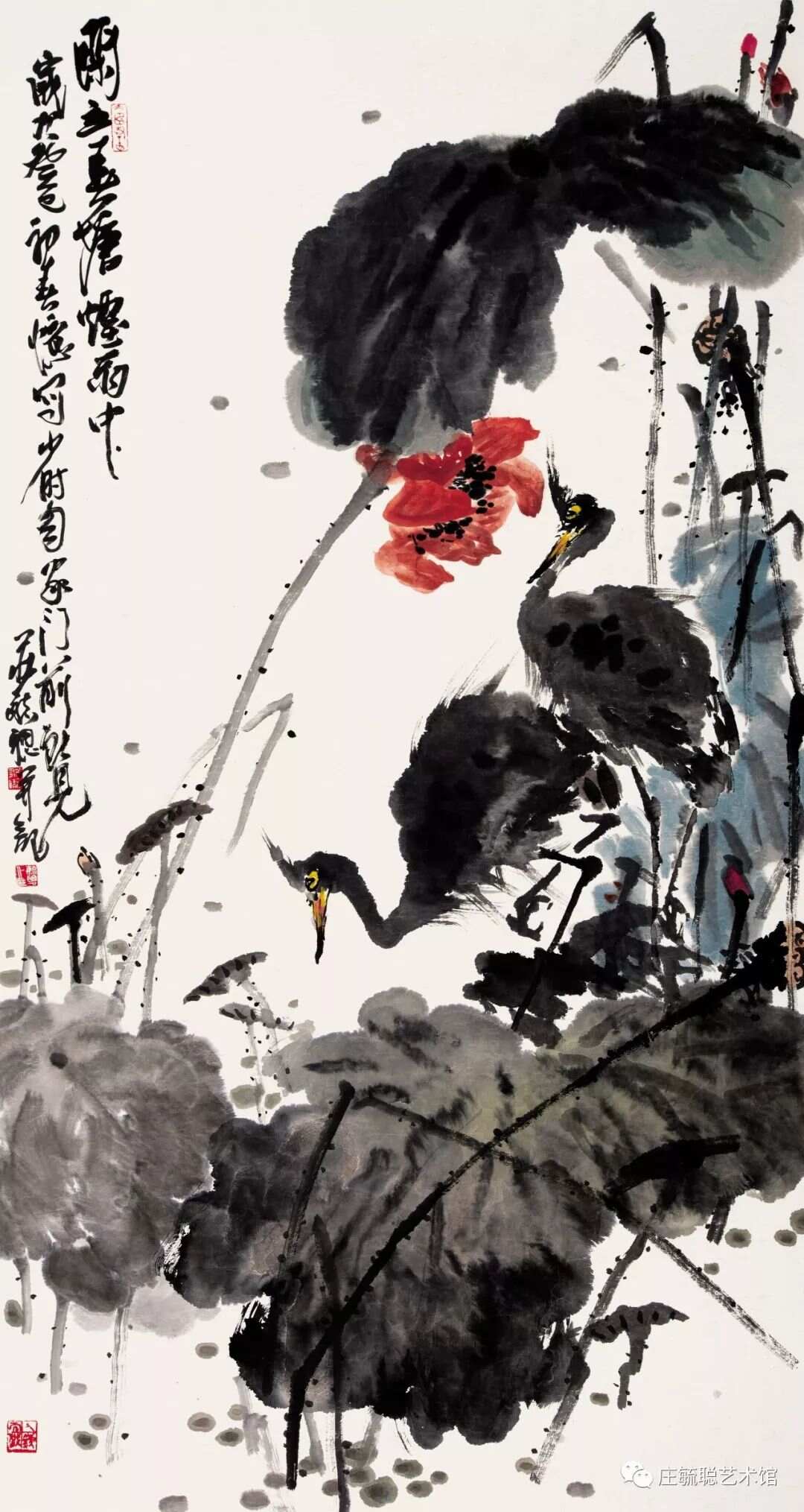 赏心悦目，大写意花鸟画作品的艺术魅力