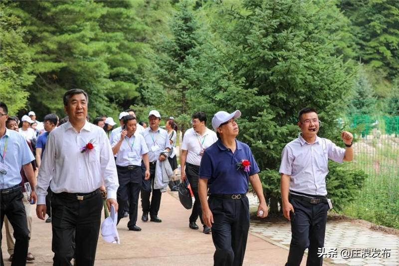 探索中国最大的书画交易市场，艺术与市场的交响乐章