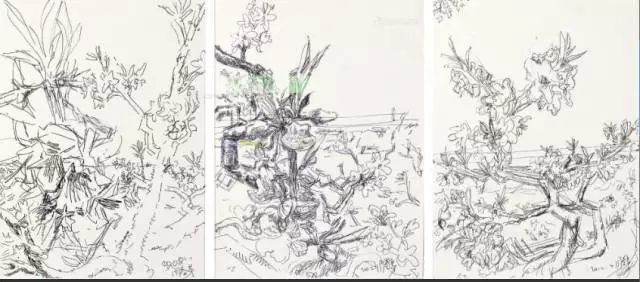 探索周春芽笔下的太湖石——自然与艺术的对话