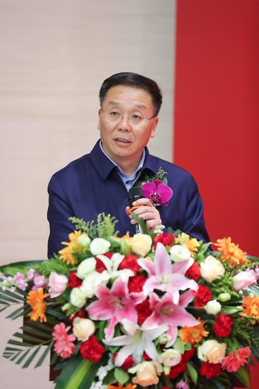 名家作品大全，穿越时空的文学盛宴