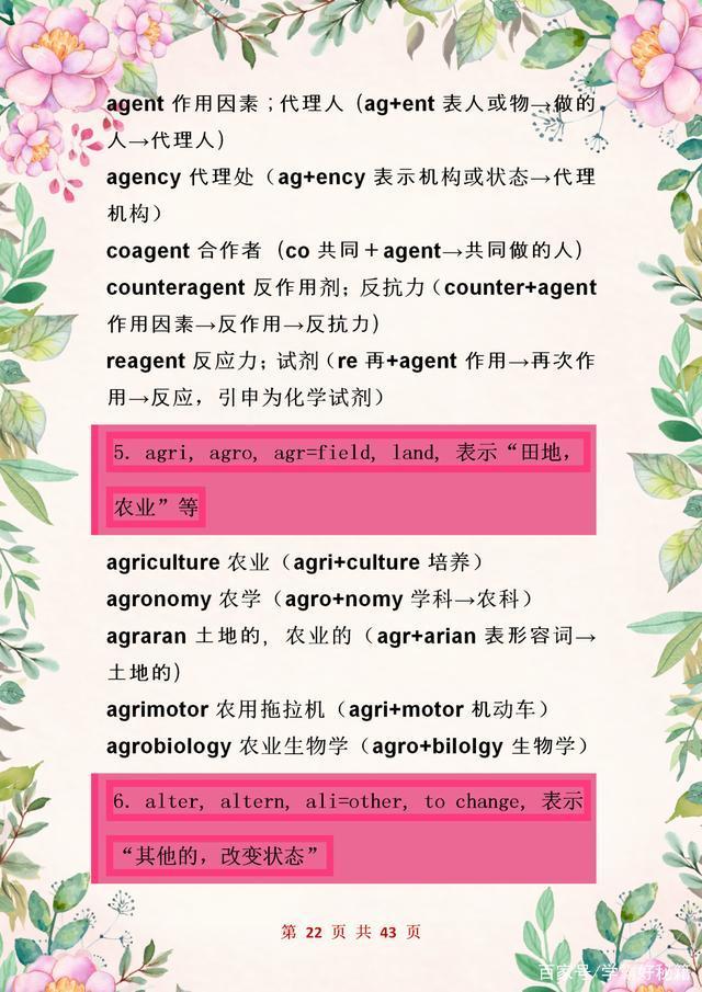 掌握词根词缀法，解锁单词记忆的钥匙