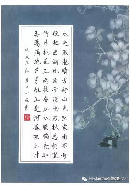 书画大赛征稿通知，挥毫泼墨，共绘艺术新篇章