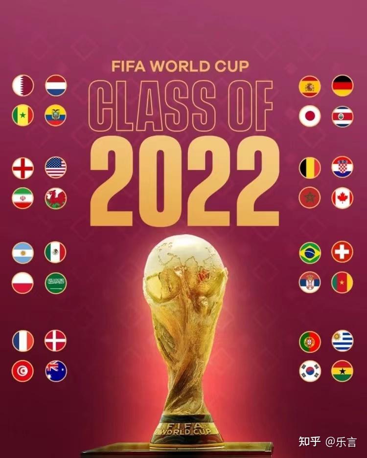 2022年世界杯，新浪体育的全面报道与球迷狂欢