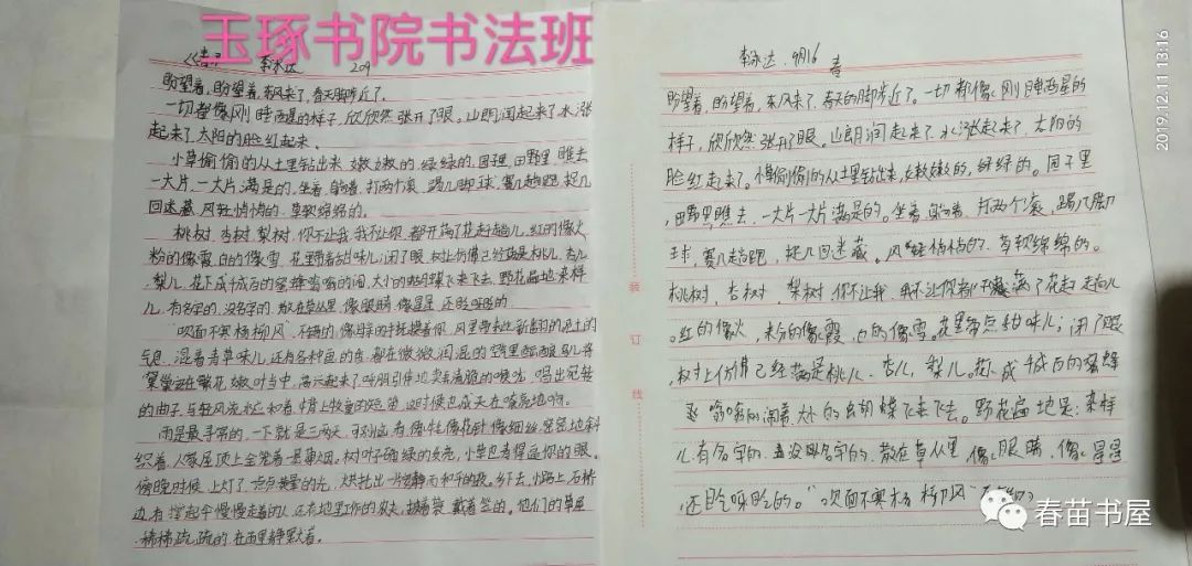 硬笔书法艺术，中国硬笔书法会员名单揭晓