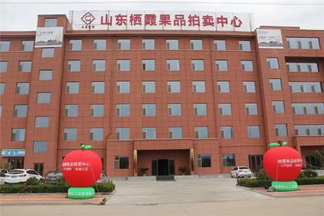 免费拍卖平台，重塑艺术品与收藏品交易的新纪元