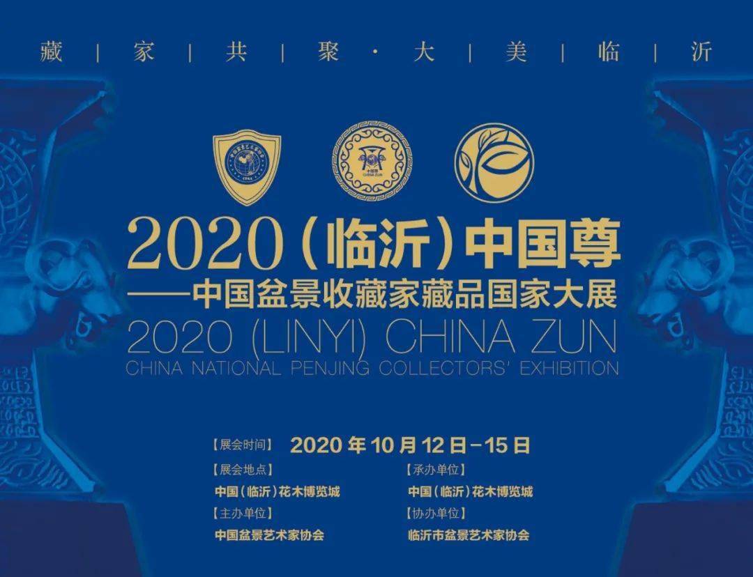 探索艺术殿堂，中美协会员名单查询官网的深度解析