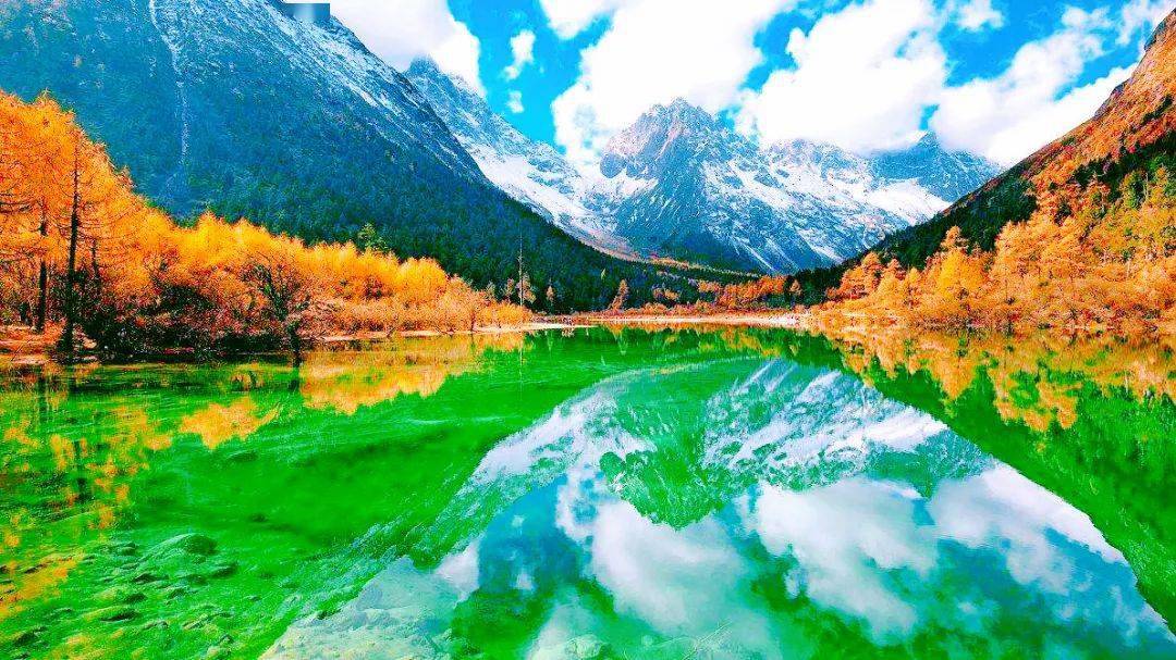 探索世界顶级油画图片的视觉盛宴