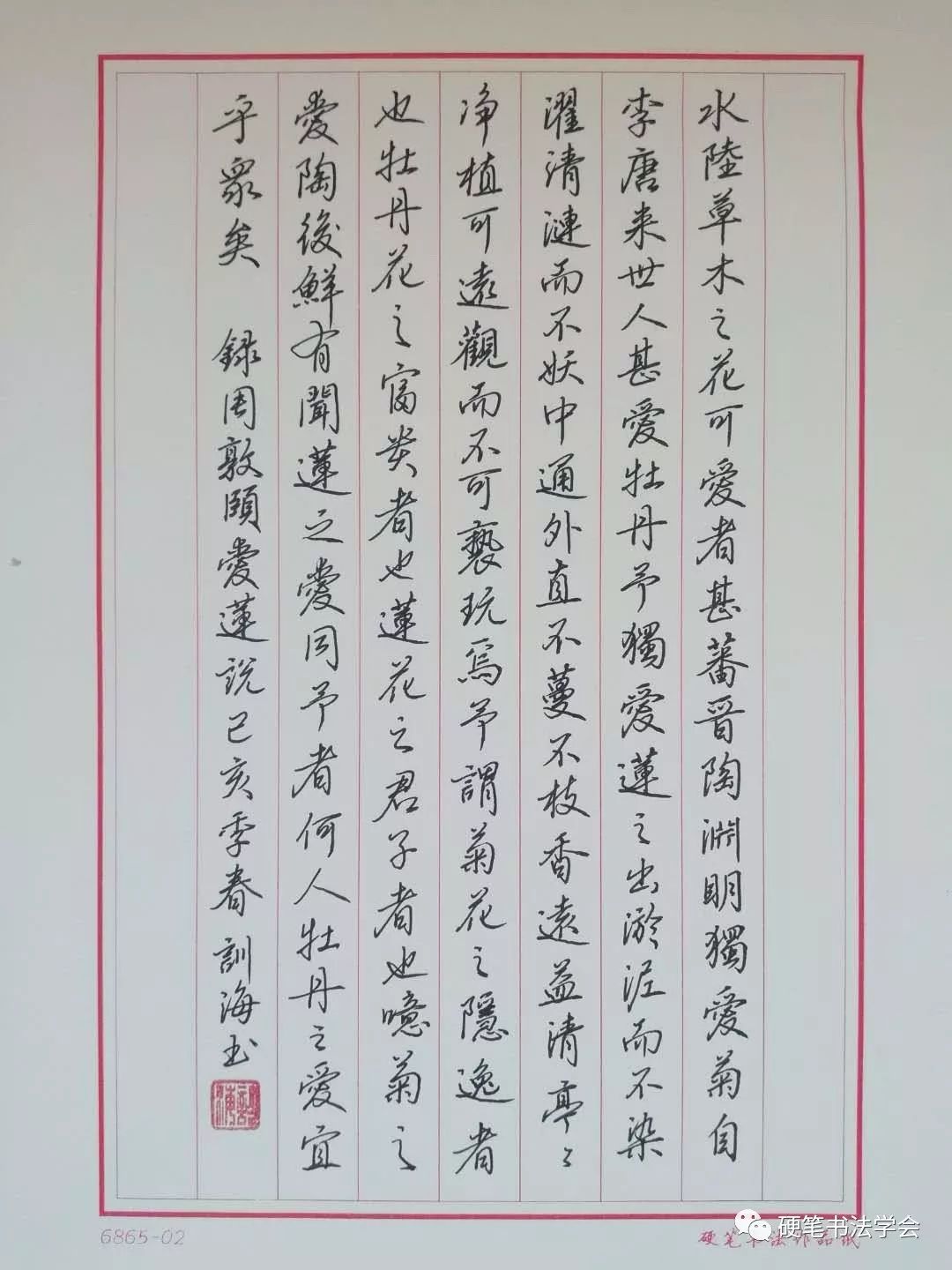 优秀硬笔书法作品欣赏，笔尖下的艺术魅力