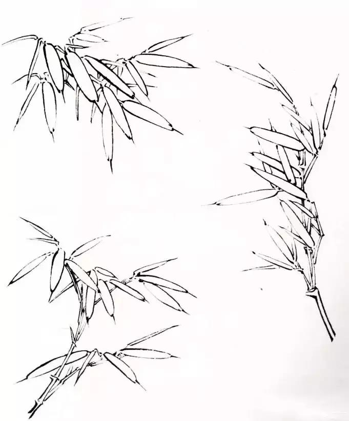 探索国画竹子之美，画法步骤图视频解析