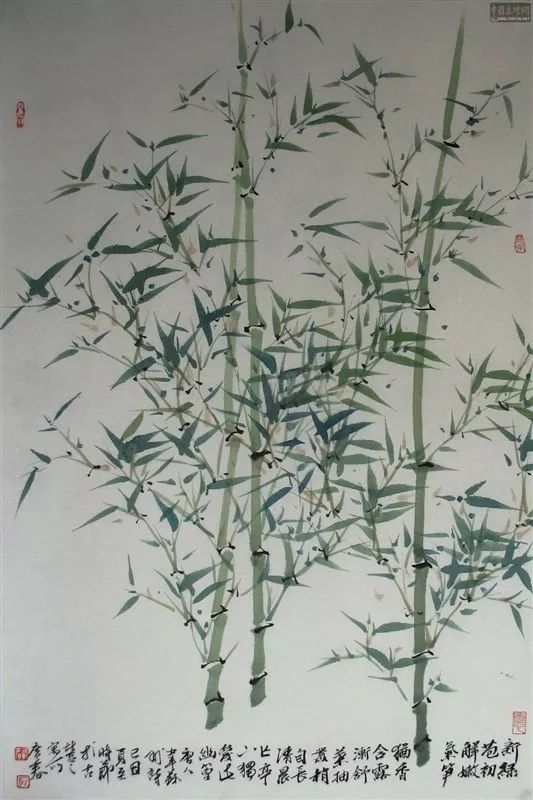 竹韵生辉，探索竹子国画中的优秀作品与艺术魅力