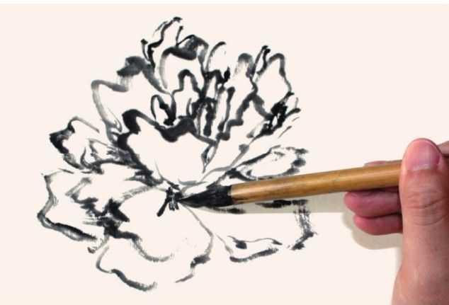 牡丹花画法入门，国画艺术的绚烂绽放