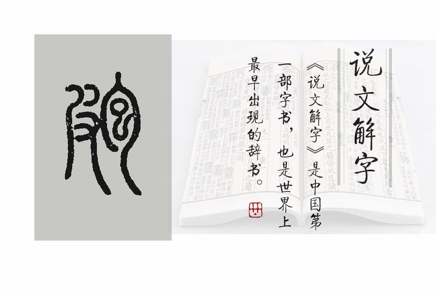 探索汉字之源，说文解字在线查询的魅力与价值
