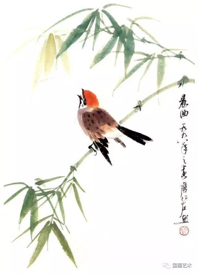 国画花鸟画入门教程，笔墨间绽放的自然之美