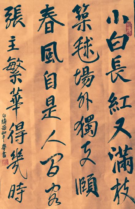 书法迷的在线书法字典，探索书法的艺术与文化