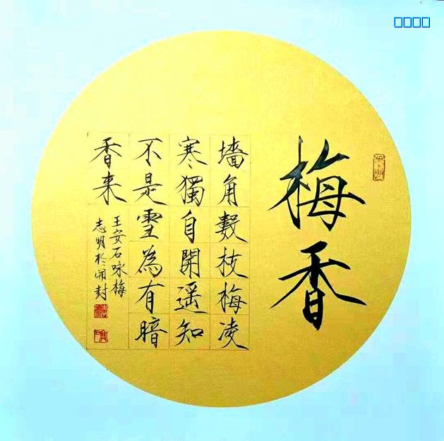 书法艺术的多样魅力，探索书法种类的丰富性