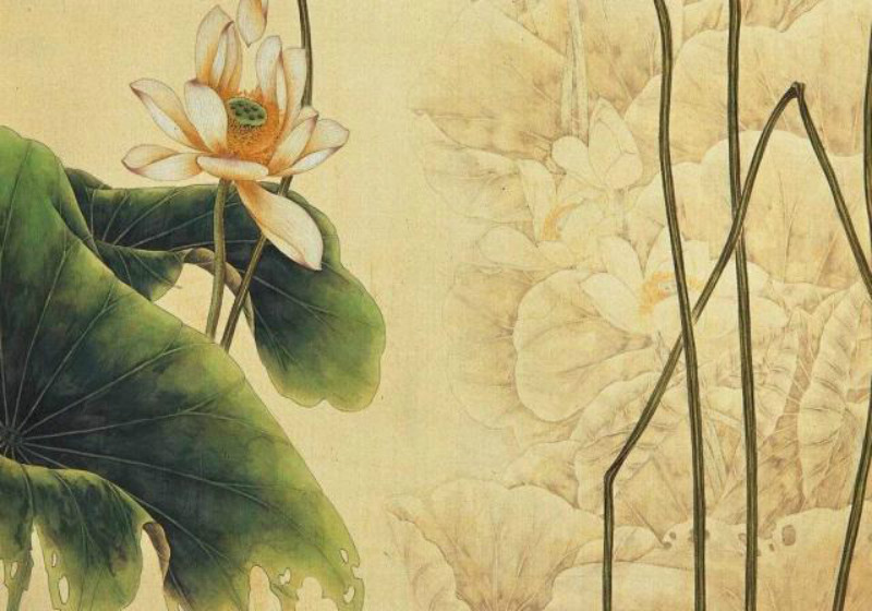 工笔画荷花，细腻笔触下的水墨雅韵