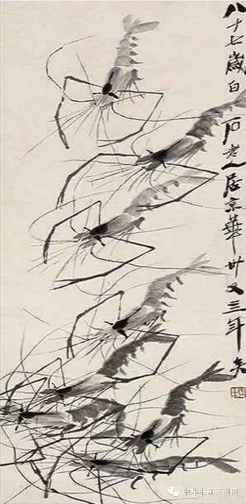 齐白石的虾，笔墨间的生命之舞