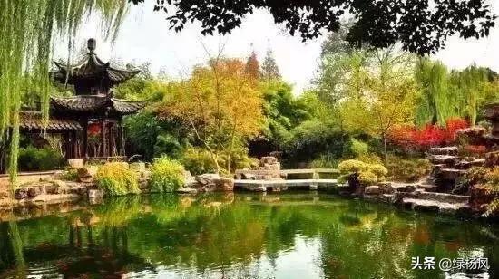 简单易学的国画竹子画法，笔墨间尽显风雅
