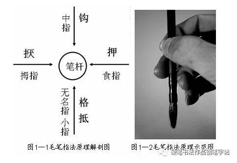 毛笔书法入门，掌握正确的握笔姿势是成功的第一步