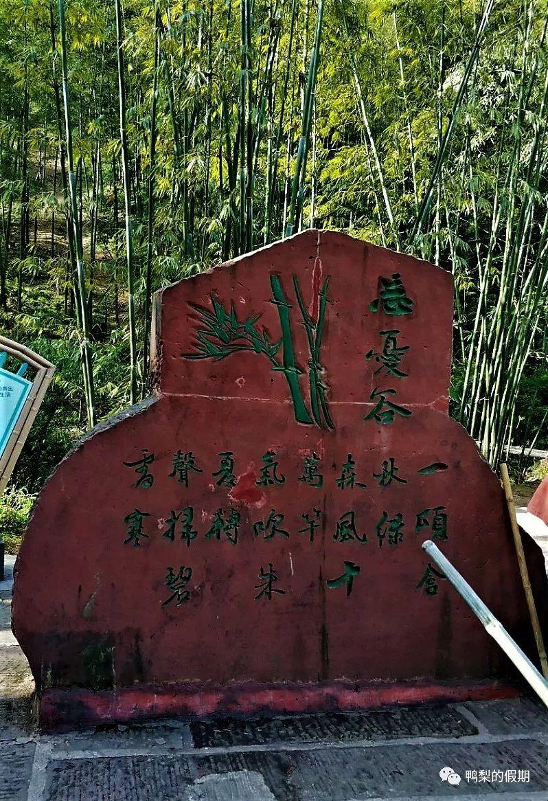 墨韵竹影，中国水墨画中的竹子艺术