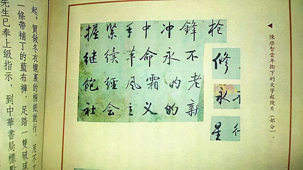 启功字体下载大全，免费资源与使用指南