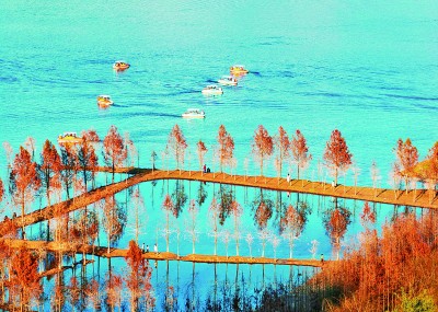 朝鲜油画风景，色彩斑斓的东方诗意