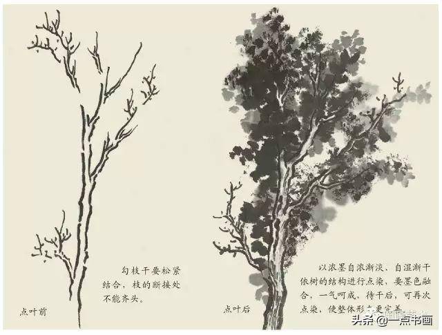 探索国画树的画法，从视频中领悟自然之美