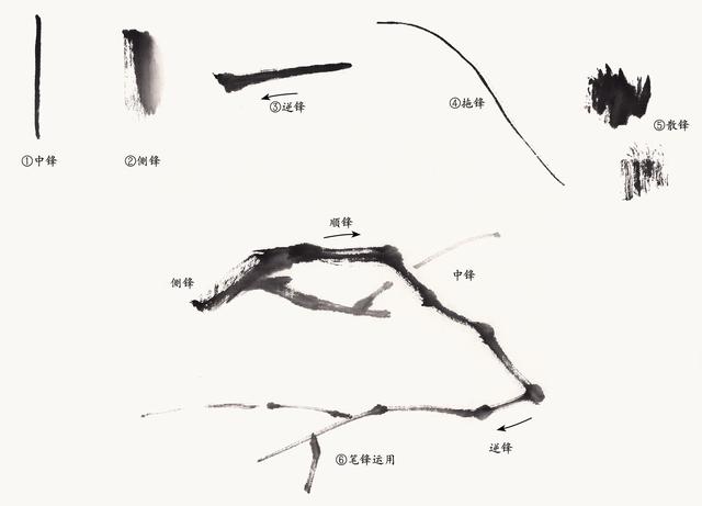 0基础学国画，从何入手，笔墨生辉的起点