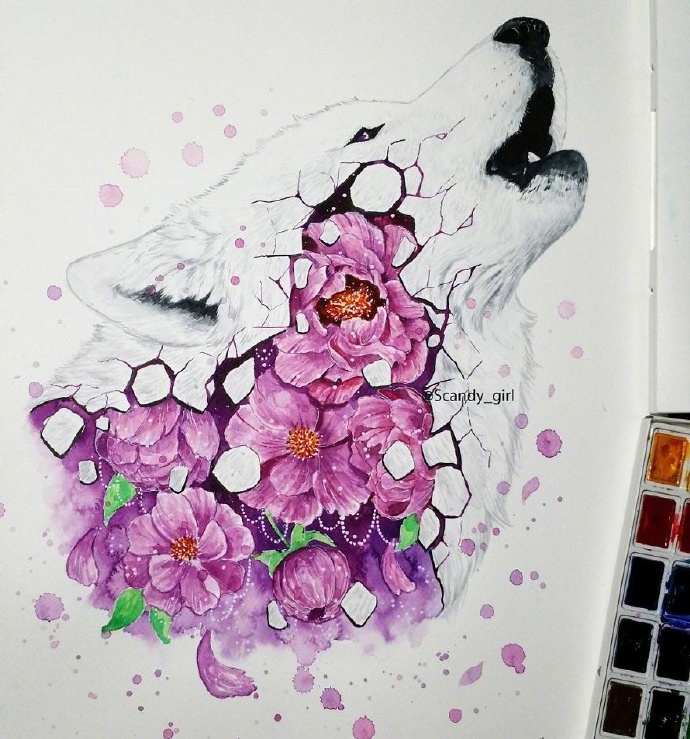 探索手绘插画的艺术魅力，一笔一划间的情感与创意