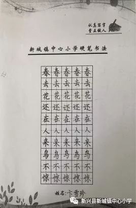 提升小学生硬笔书法素养，硬笔书法培训的必要性与实践