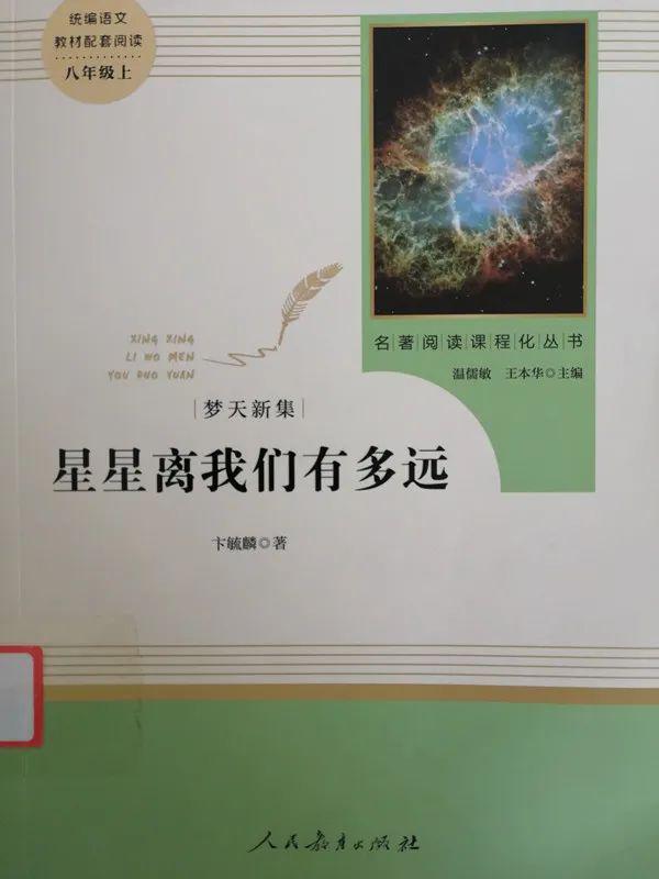 探索词格的奥秘，文学创作的韵律与结构之美