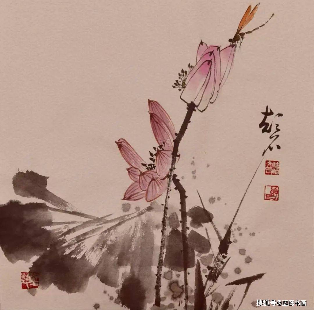 荷韵生辉，国画写意荷花之美