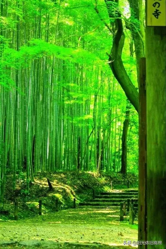 儿童国画 第2页